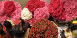 bangalore-flower-market-above
